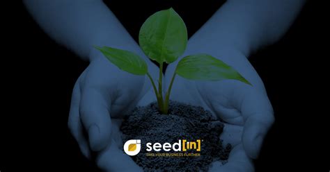 pr seeding platform in the philippines|SeedIn .